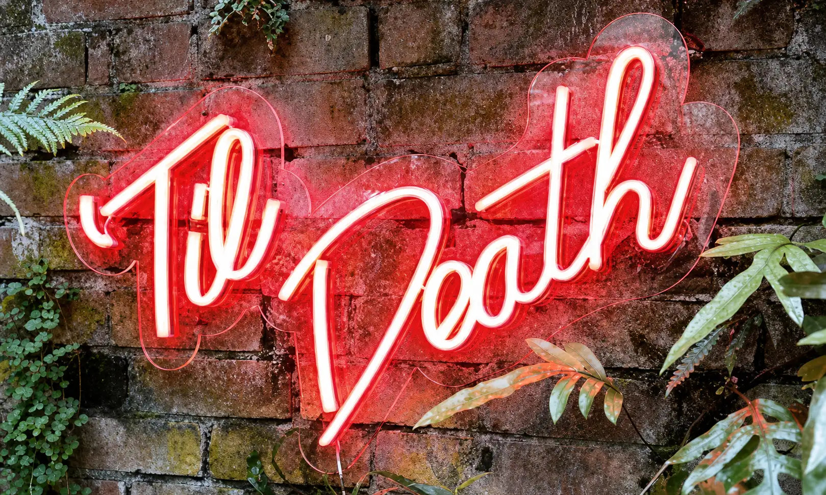 Long-Lasting & Energy-Efficient Neon Signs
