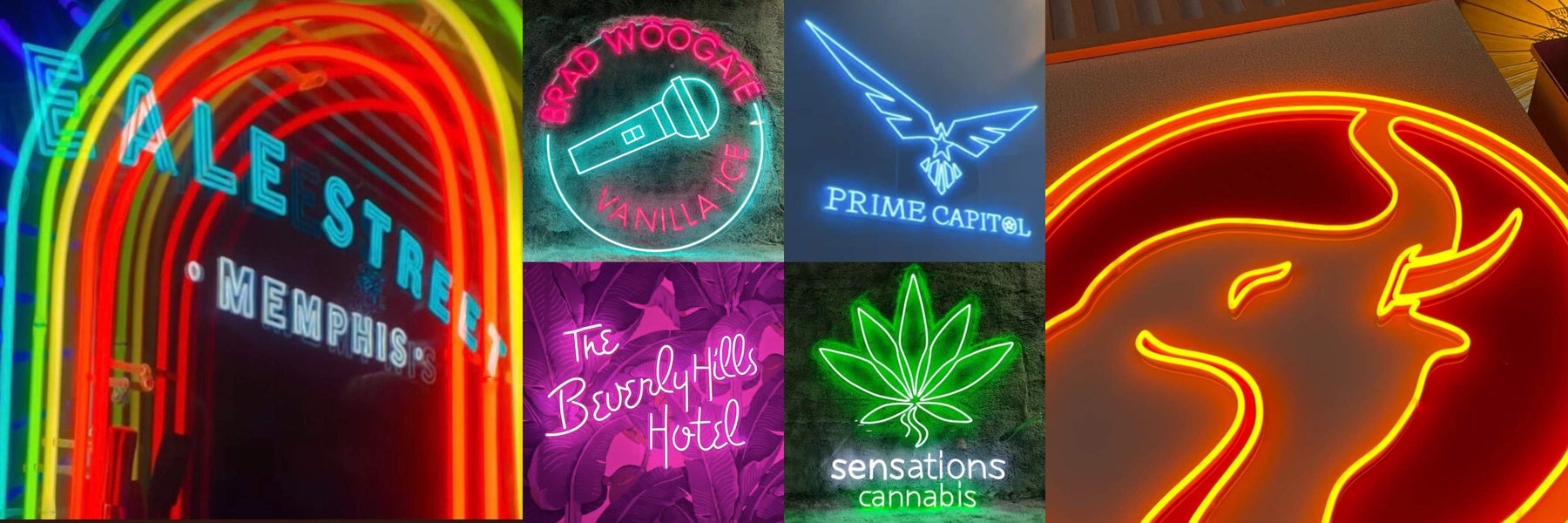A collage of six different neon signs with each sign having its own unique style and color 